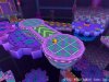 pacnroll_screenshot_070427_1.jpg