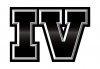 IV_Logo White Background.jpg