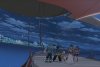 hom_11_ani_03.jpg