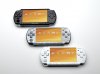 PSP-group shot.jpg