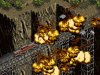 fm_event01.jpg