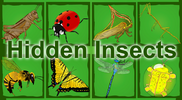 Hidden Insects Icon.png