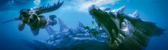 Monster Hunter 3 b.png