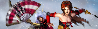 Samurai Warriors 3 b.png