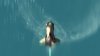 FI_072307__4_.jpg