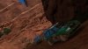 SEGA_Rally-PS3Screenshots9259Canyon_Screenshot (42).jpg