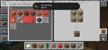Screenshot_20260808_072245_Minecraft.jpg