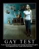 gay-test[1].jpg