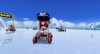 mario_cart_wii_21.jpg