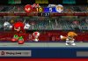 Mario_&_Sonic_at_the_Olympic_Games-Nintendo_WiiScreenshots11177fence_knuck_tails copyN.jpg