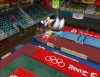 Mario_&_Sonic_at_the_Olympic_Games-Nintendo_WiiScreenshots11189Trampo_YoshN.jpg