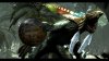 capture0100-00000B_bmp_jpgcopy.jpg