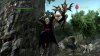 capture0116-00000_bmp_jpgcopy.jpg