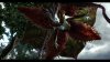 capture0093-1788b_bmp_jpgcopy.jpg