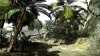 capture0122-00000_bmp_jpgcopy.jpg