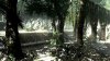 capture0129-00000_bmp_jpgcopy.jpg