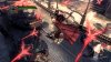 capture0070-00000_bmp_jpgcopy.jpg