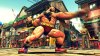 sf4_02_24.jpg