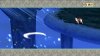 screenshot_020.jpg
