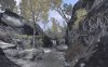 creek11.jpg