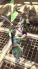 sc4_pub_ss_yoshimitsu_seong mi-na_001 copy.jpg