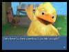 25_-_field__fat_chocobo_message_.jpg