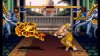 bisonvsdhalsim3.jpg