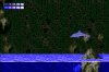 Ecco.jpg