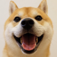 Exophase profile picture for @Blaze