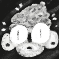Exophase profile picture for @oats