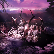 Exophase profile picture for @Pax