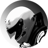 Shady_Skaglicker