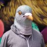 The Emperor Of Pigeons