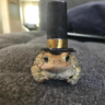 Closetoad
