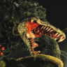 Superbiollante7