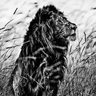 raion_rawr