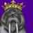 walrusking
