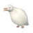pigeon3861